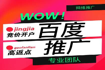 竞价代运营案例解析：中小企业如何快速崛起